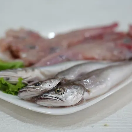 Oda ve Kahvaltı Korani