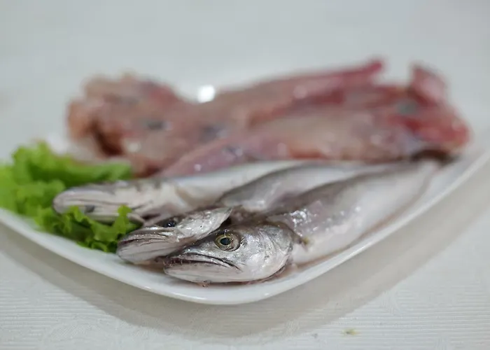 Bed & Breakfast Korani